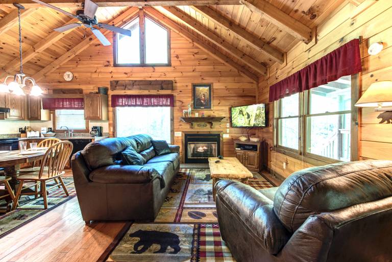 Cabin  Sevier County