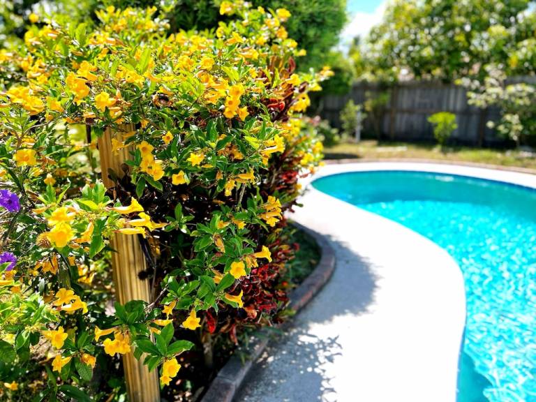 House Camellia Gardens